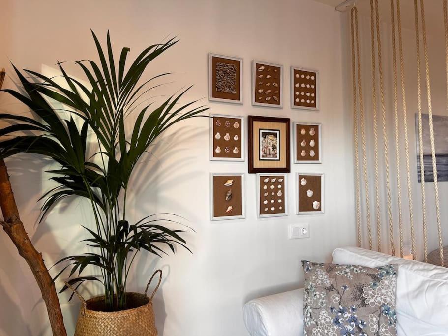 Ocean Dream Apartments - Lovely Sea View Studio Apartment 5Min From Beach San Marcos (Tenerife) Exterior foto